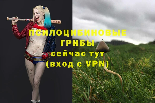 гашишное масло Аркадак