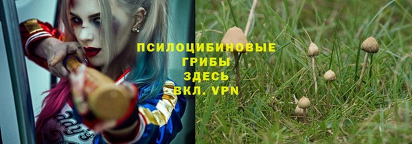 соль курить ск Арсеньев