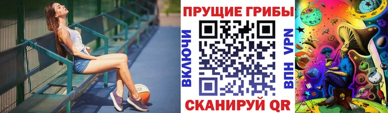 ссылка на мегу вход  даркнет телеграм  Баймак  Псилоцибиновые грибы MAGIC MUSHROOMS  где купить наркотик 